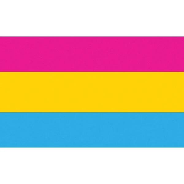 Pansexual Motorcycle Flag 1
