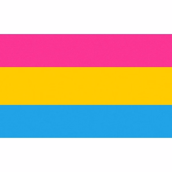 Pansexual Motorcycle Flag