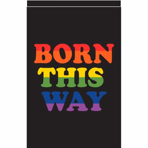Born This Way Deluxe Garden Flag