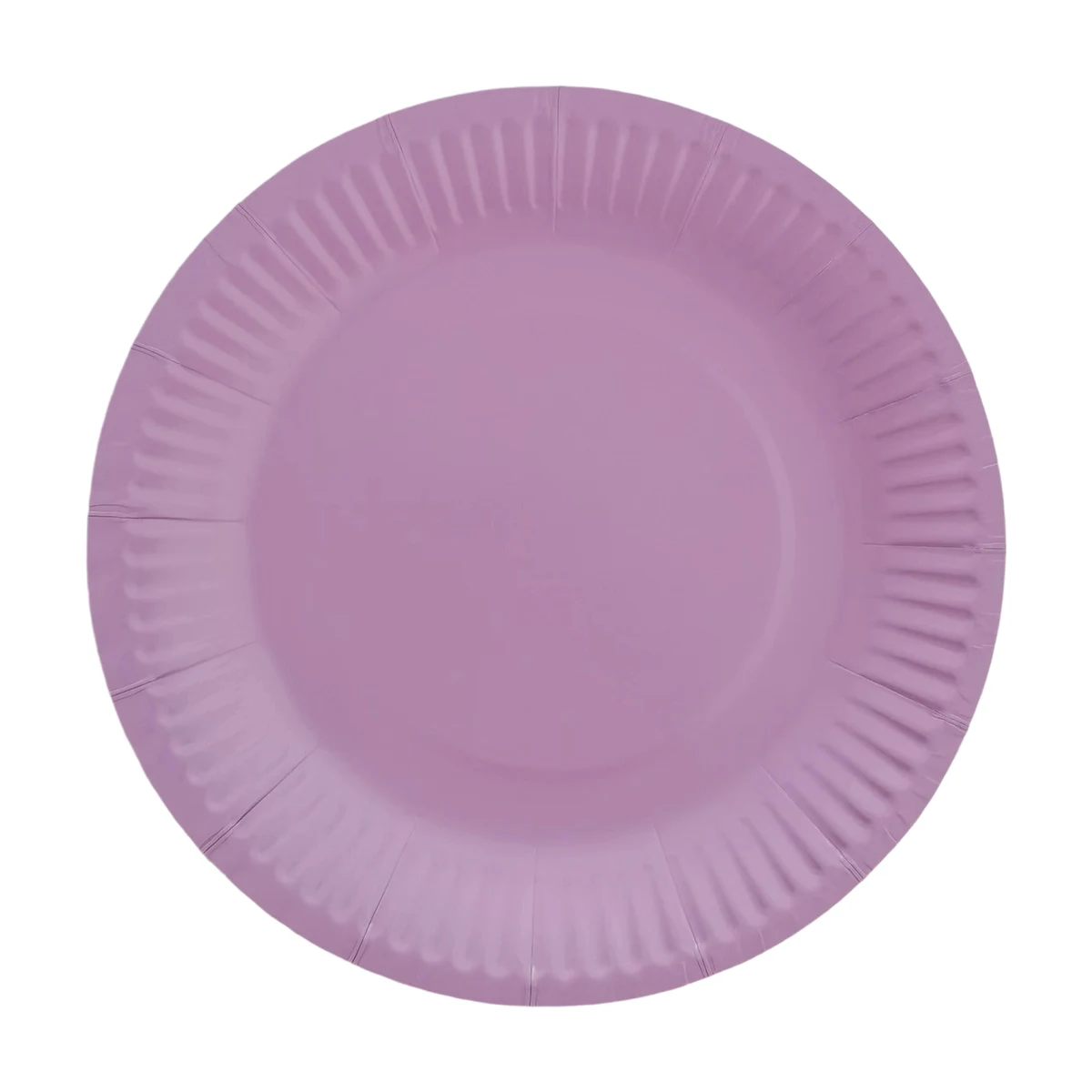 Nine Inch Party Paper Plate Food Safe Disposable 1
