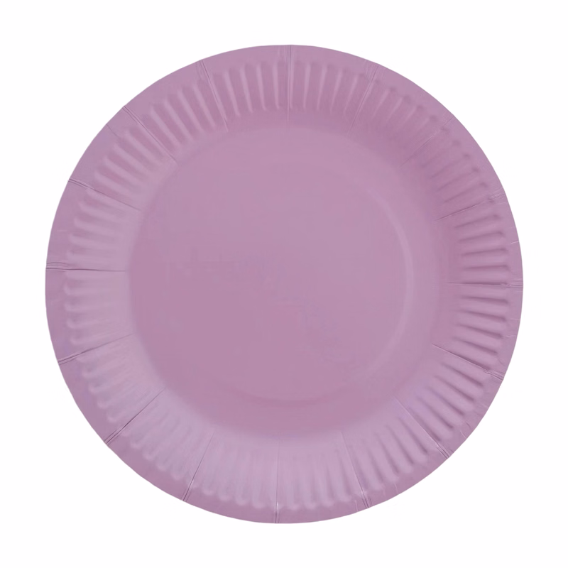 Nine Inch Party Paper Plate Food Safe Disposable