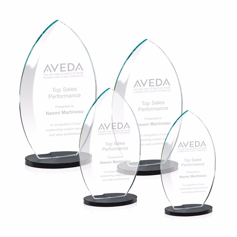 Windermere Award - Black
