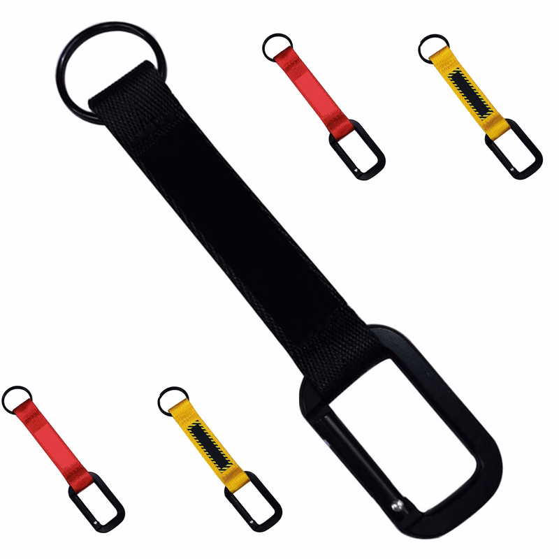 Carabiner with Web Strap Key Ring