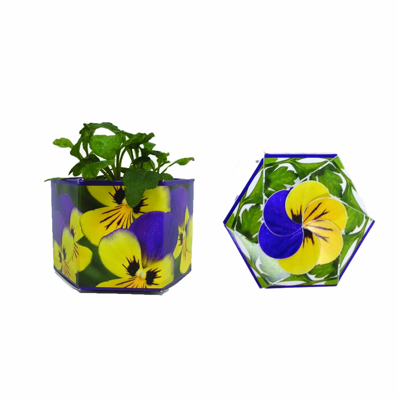 Johnny Jump Up SeedGems Paper Planter - Biodegradable grow kit