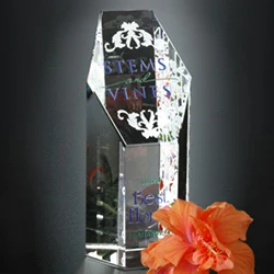 Citadel Award 1
