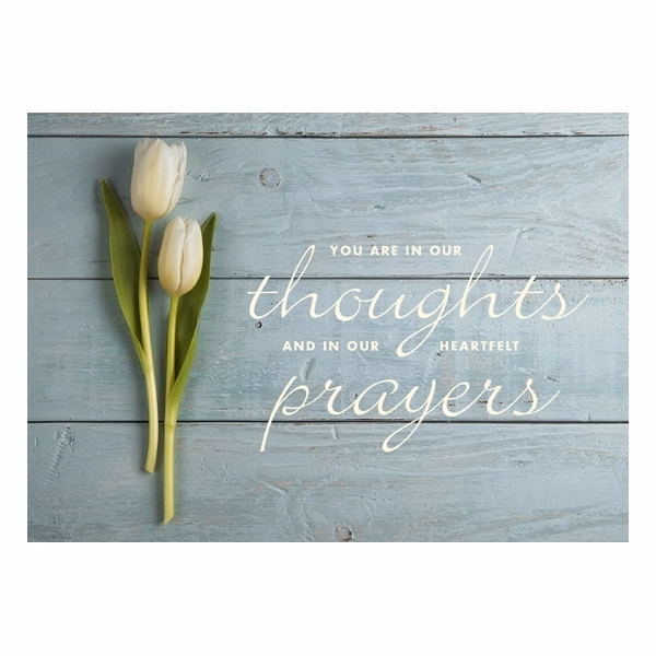 Heartfelt Thoughts Sympathy Cards
