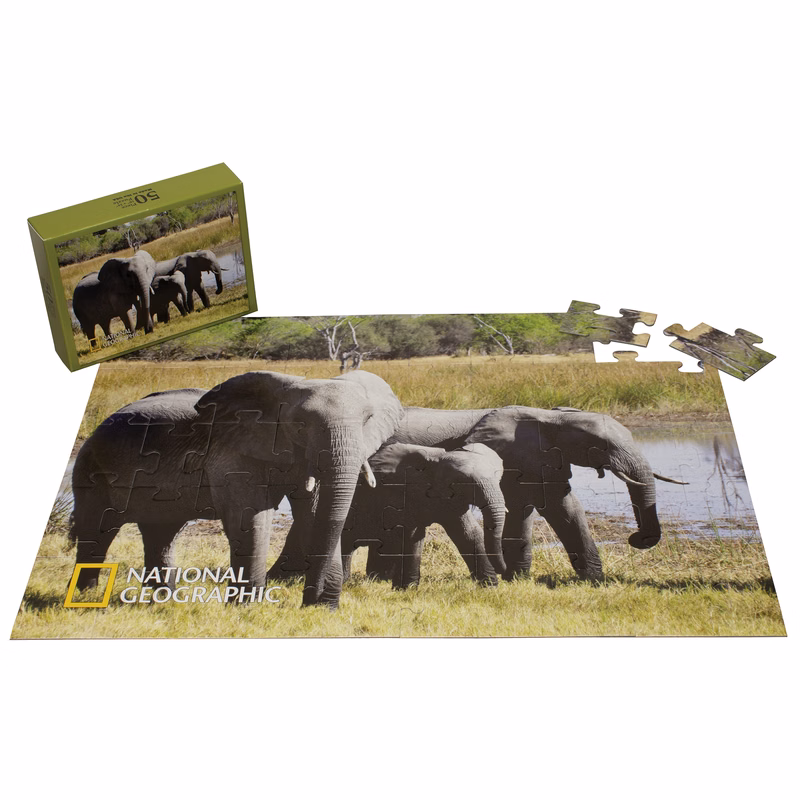 50 Pieces - 18" x 24" - Extra Large Puzzle in Box