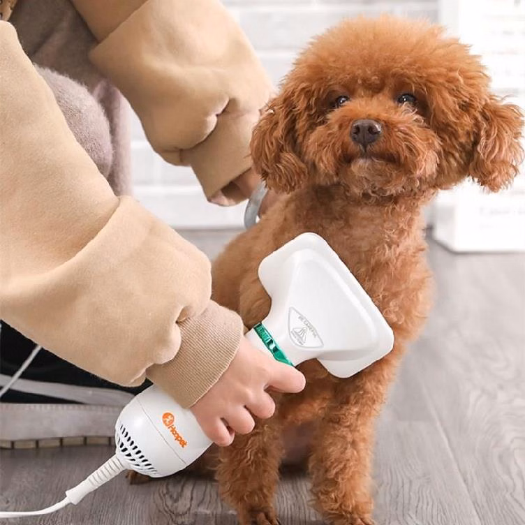 2-In-1 Portable Dog Hair Dryer And Comb Brush
