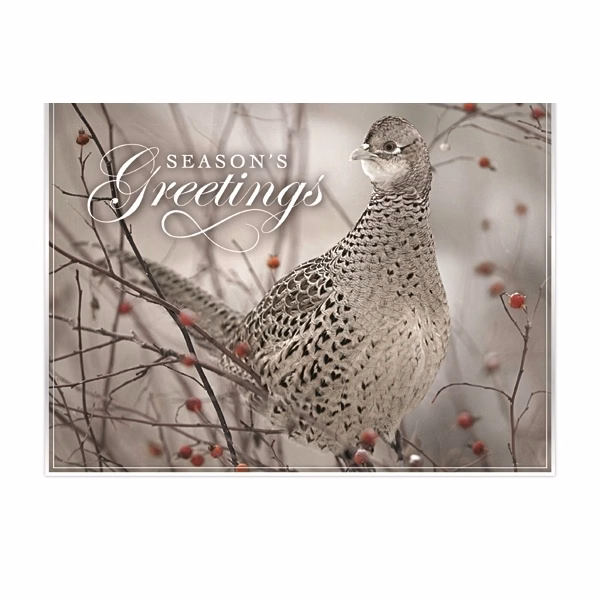 Feathered Friend Holiday Greeting Card