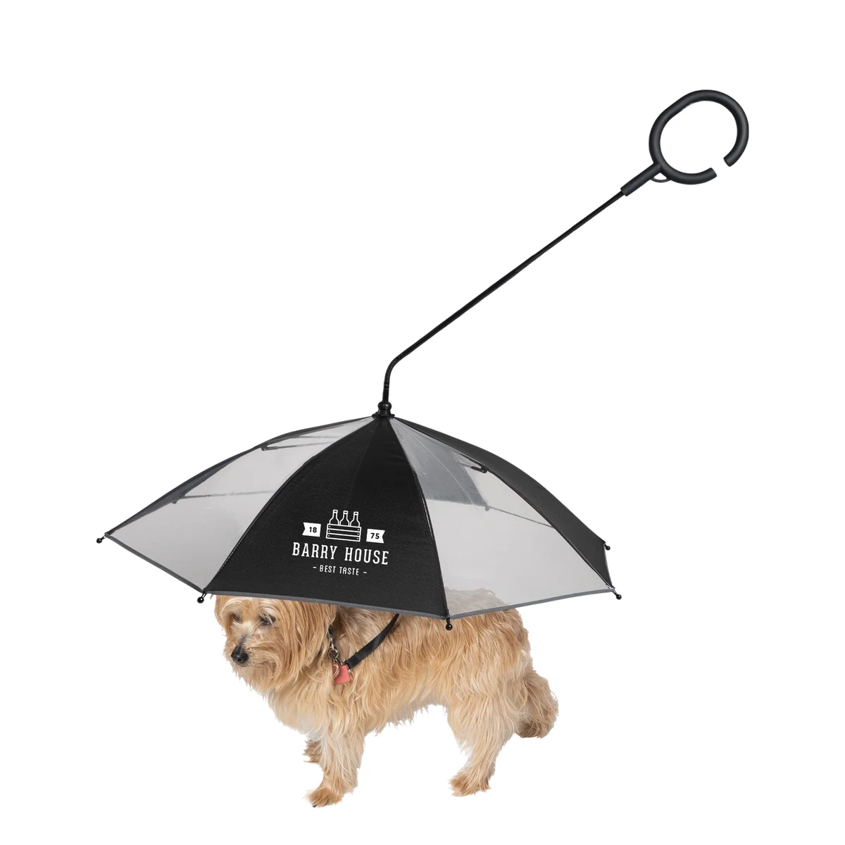 The Doggo Umbrella 1