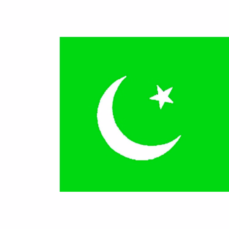 Pakistan Flag - 2' x 3' - Nylon