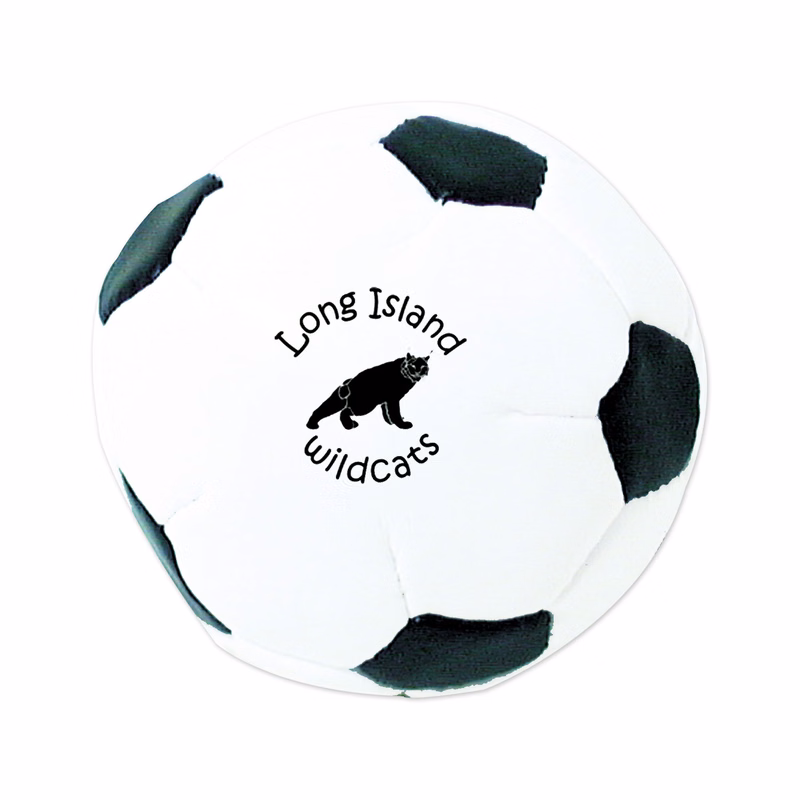 2" Soccer Kickbag