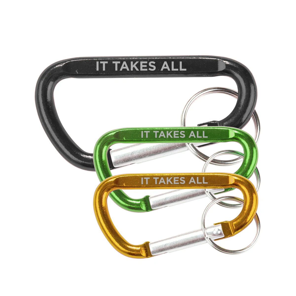 2-5/8" Carabiner W/Key Chain - Close Out 1
