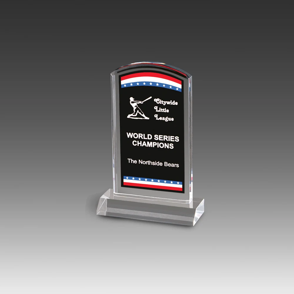 Freedom Corporate Stars Stripes Award (5"x6") 1