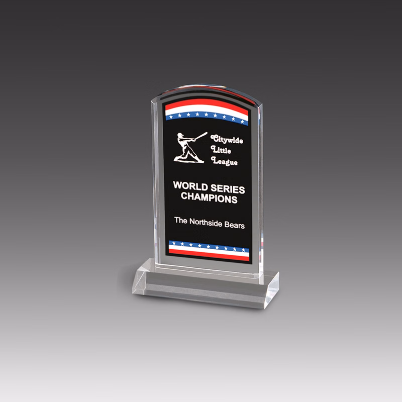 Freedom Corporate Stars Stripes Award (5"x6")