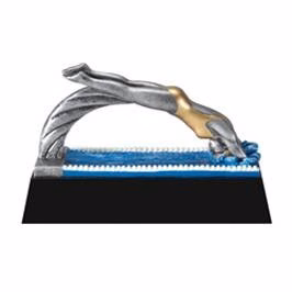 Swimmer Female Motion Xtreme Figure Award