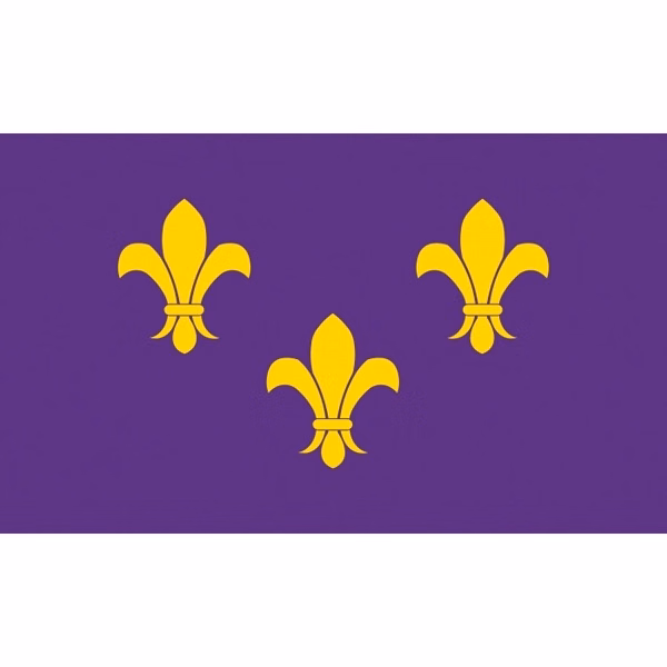 Special Historical Flags - Blue Fleur de Lis