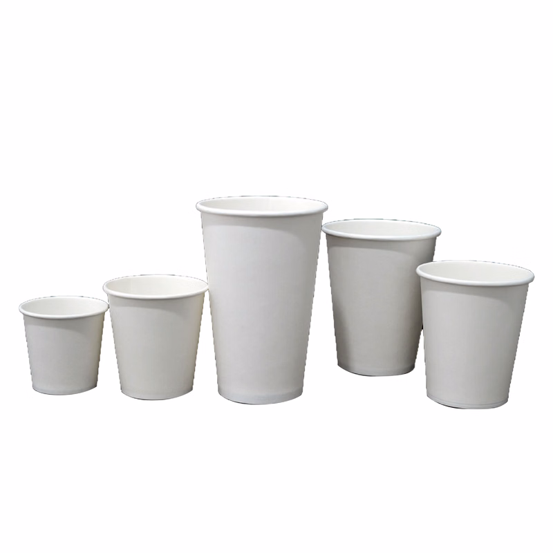 12OZ Disposable Water Cup