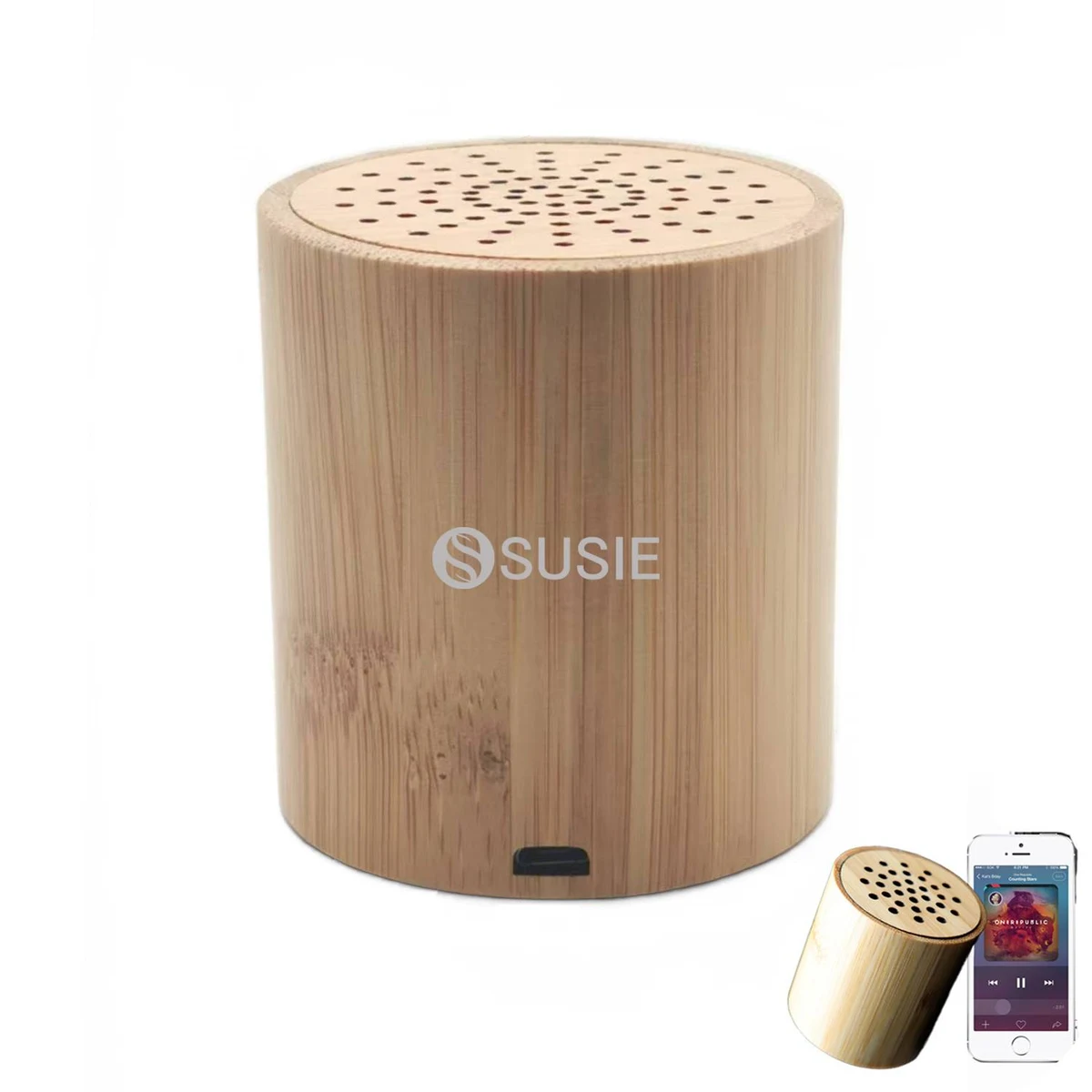 Bamboo Plastic Compact Bluetooth Speaker 1