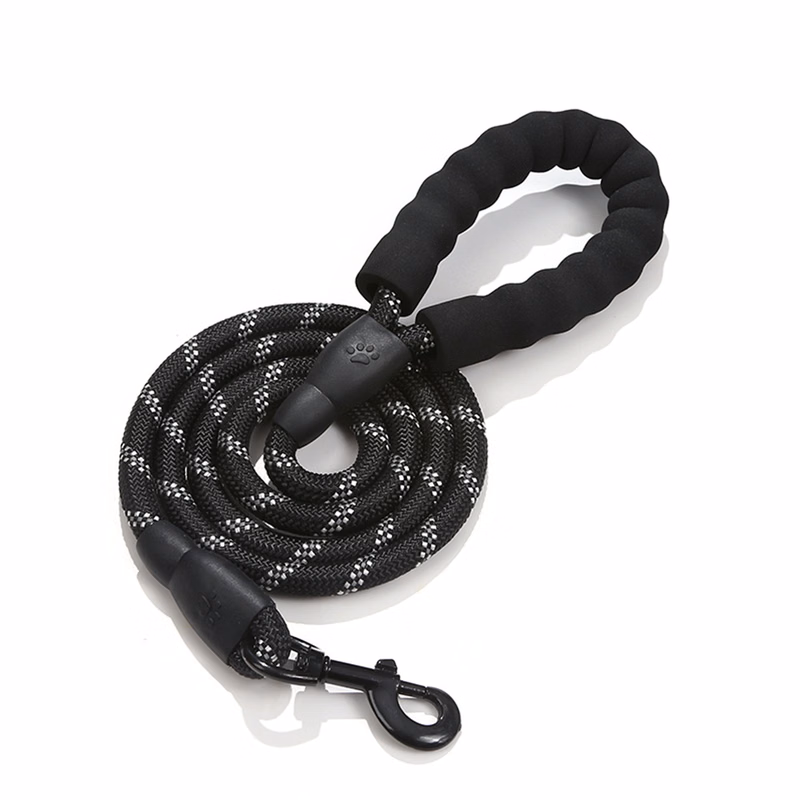 Outdoor pet leash