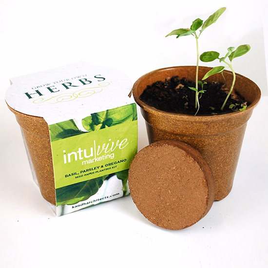 Herb Seed Paper Sprouter Kits