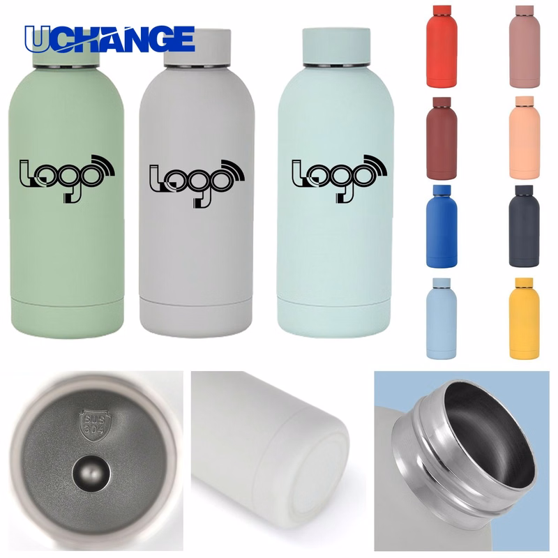 Insulated Leak-Proof Stainless Steel Bottle Container