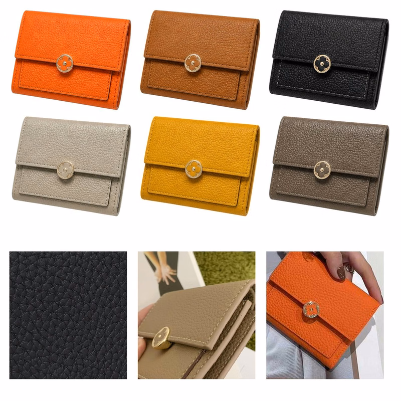 Small Flap Wallet with Card and Coin Sections