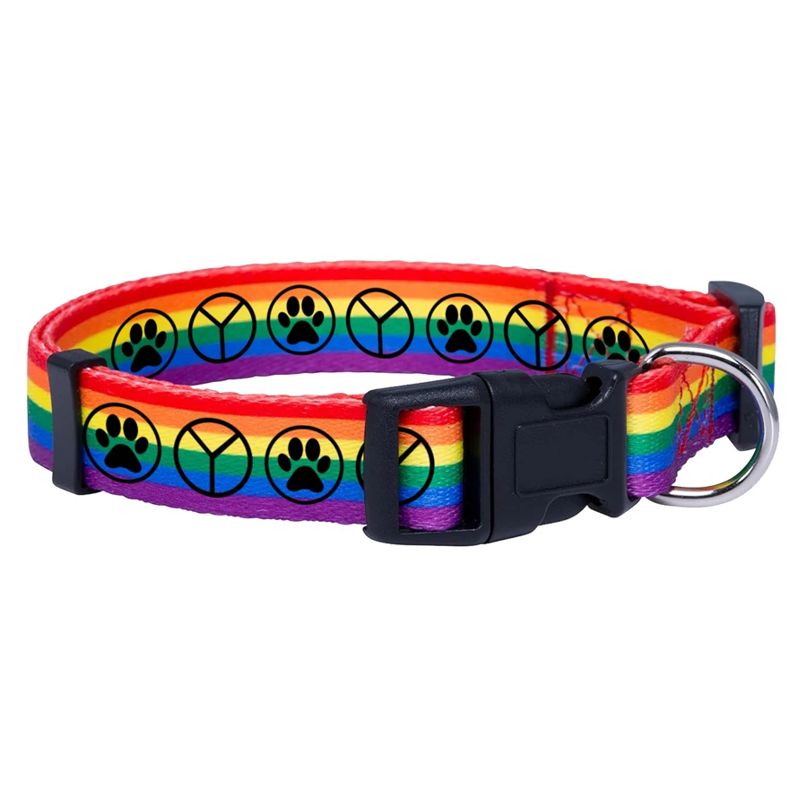 Rainbow Polyester Collar with Buckle Release 1