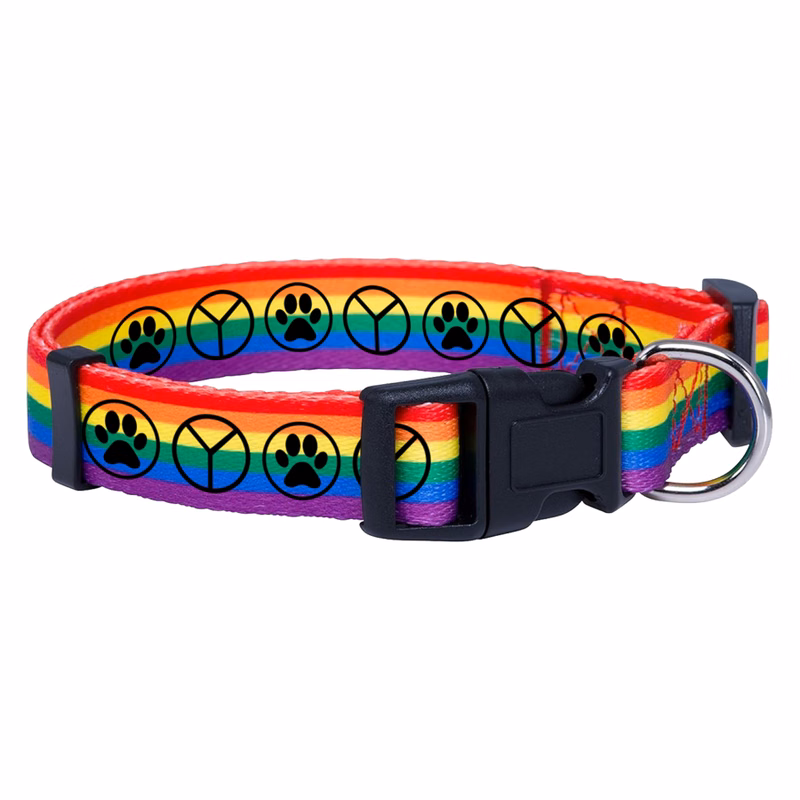 Rainbow Polyester Collar with Buckle Release