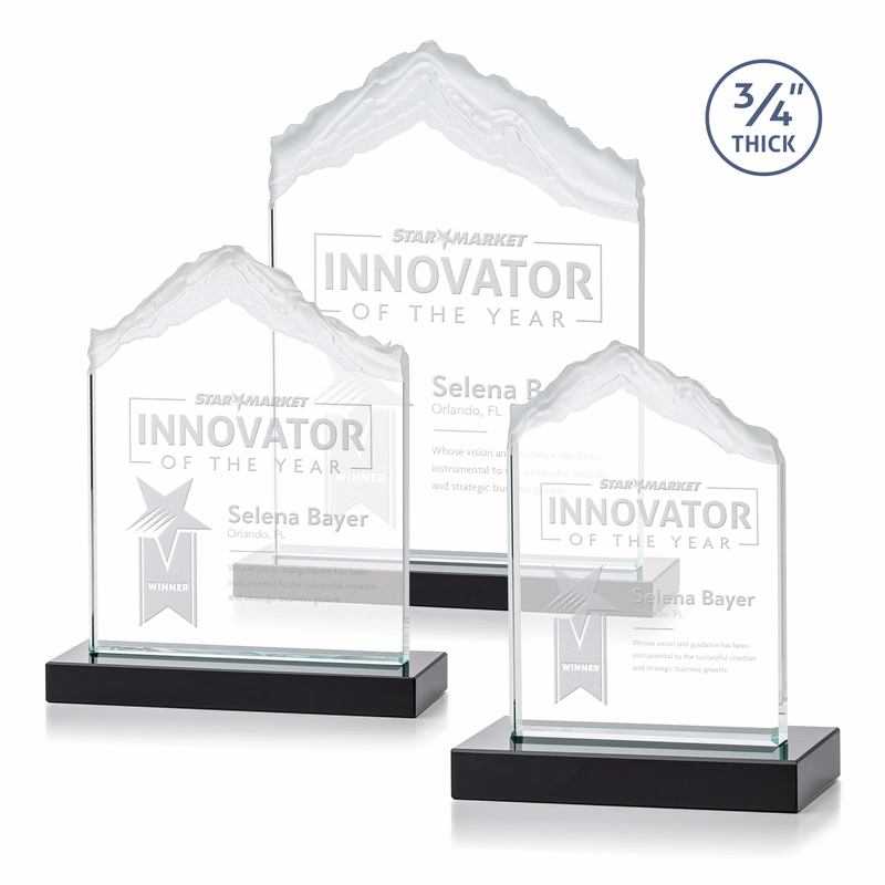 Everest Award - Black