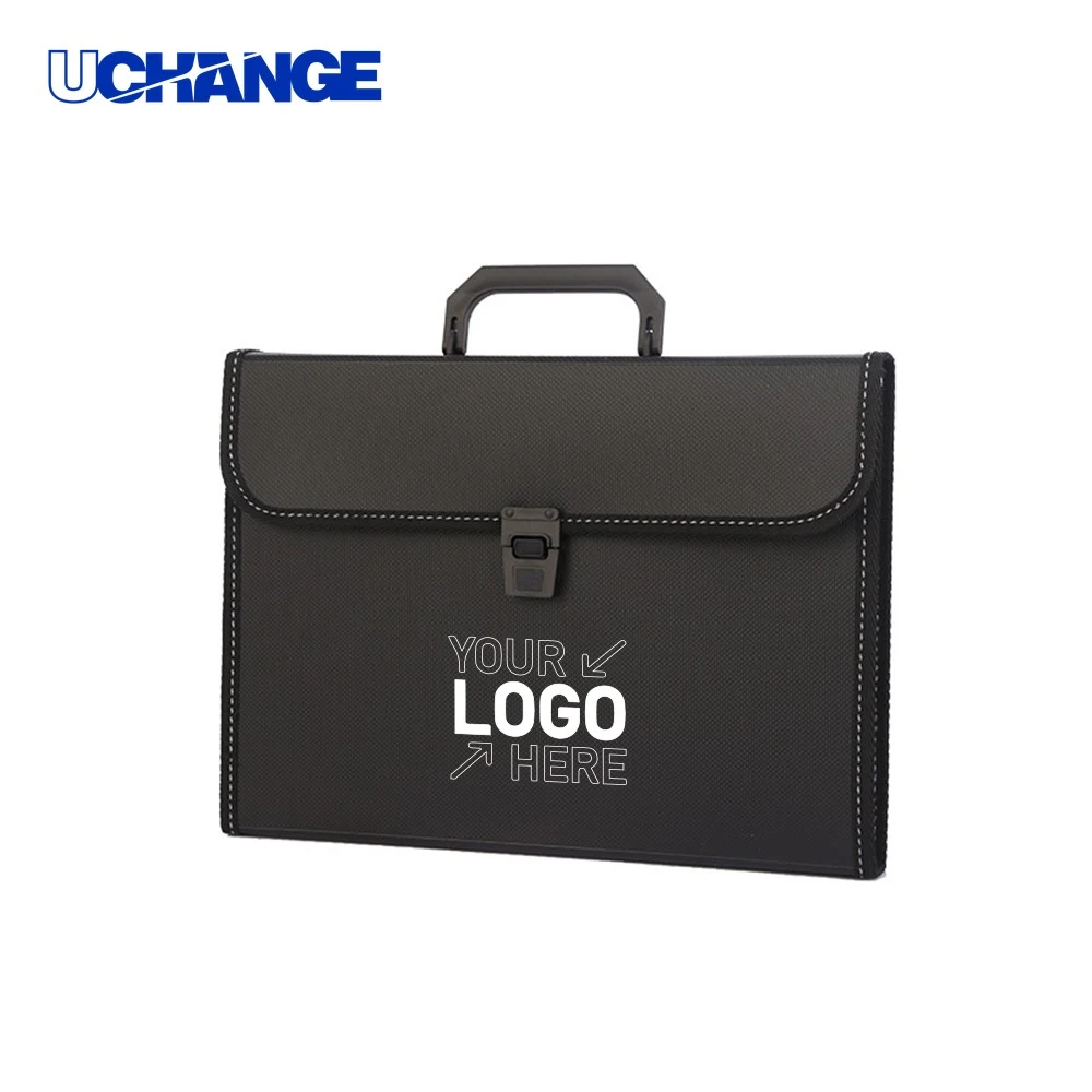 Accordion File Organizer with Handle 1