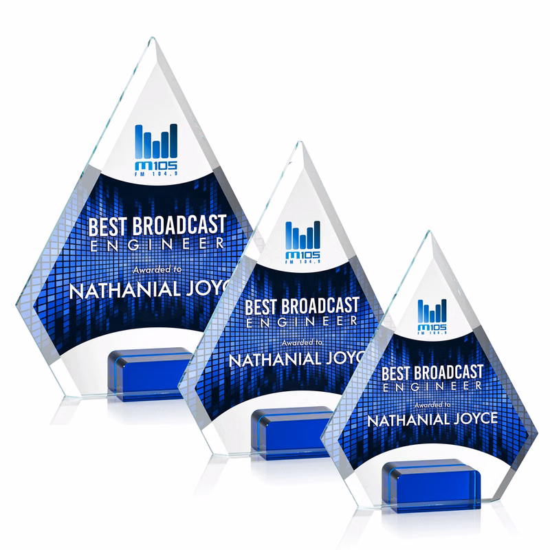 Charlotte VividPrint™ Award - Blue