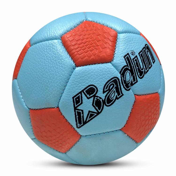 Professional Match Handball