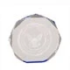 5" Blue Octagon Acrylic Award 1