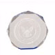 5" Blue Octagon Acrylic Award