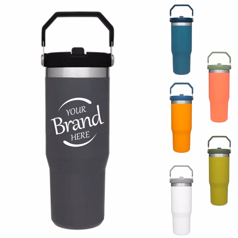 30Oz Insulated Tumbler With Top Handle & Straw Lid