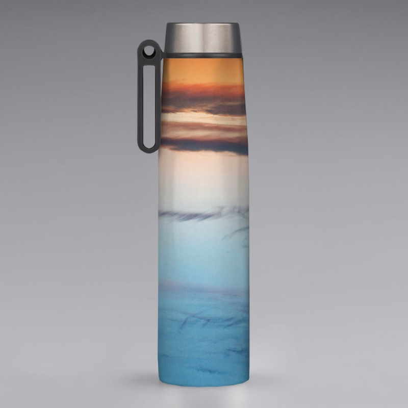 17oz Stainless Steel Bottle with Handle