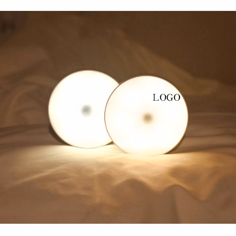 LED Induction Light