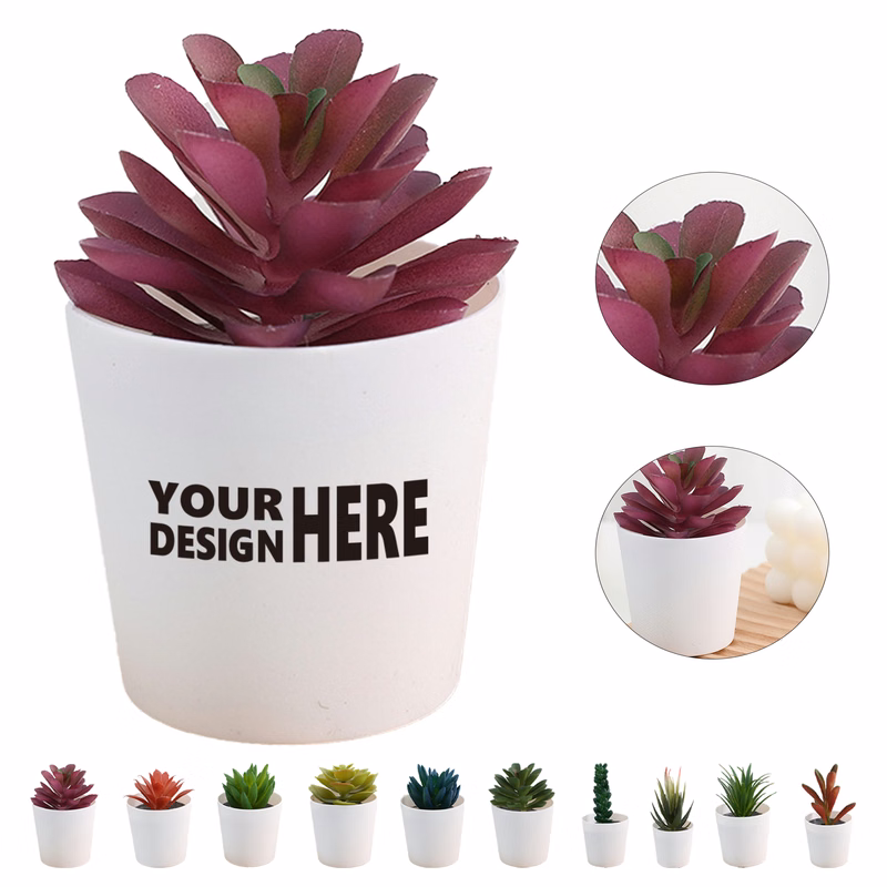 Faux Succulent Plants in Decorative Pots
