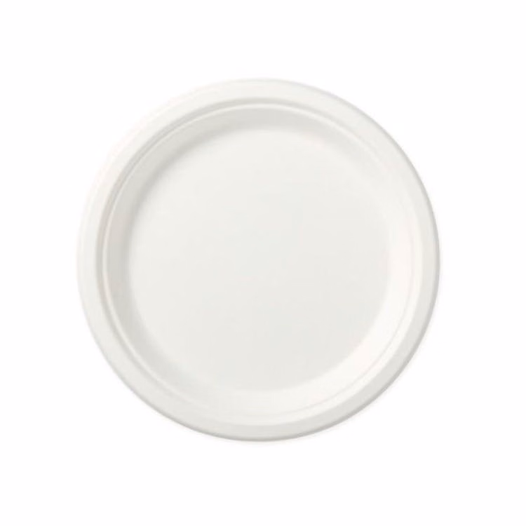 Paper Plates - Eco-Friendly 125 Pack