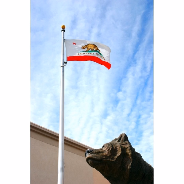 California Official Flag