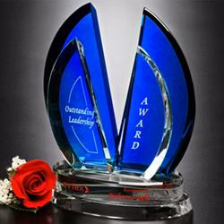 Flight Indigo Award