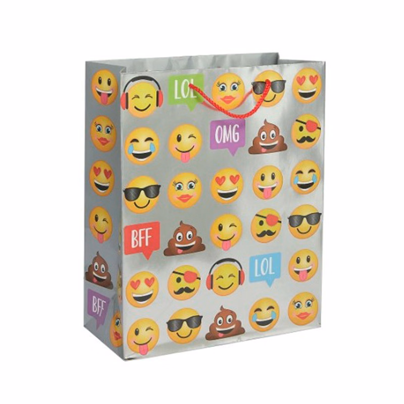250g C1S paper bag with full color imprint on all sides (10*13*5")