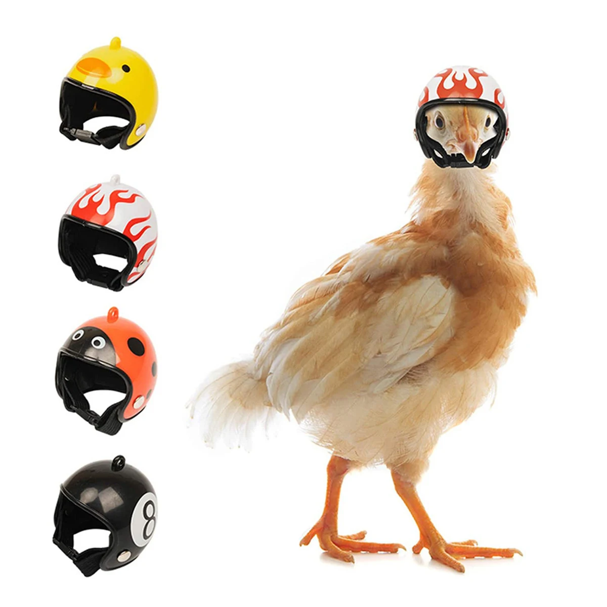 Personalized Poultry Mini Helmet 1
