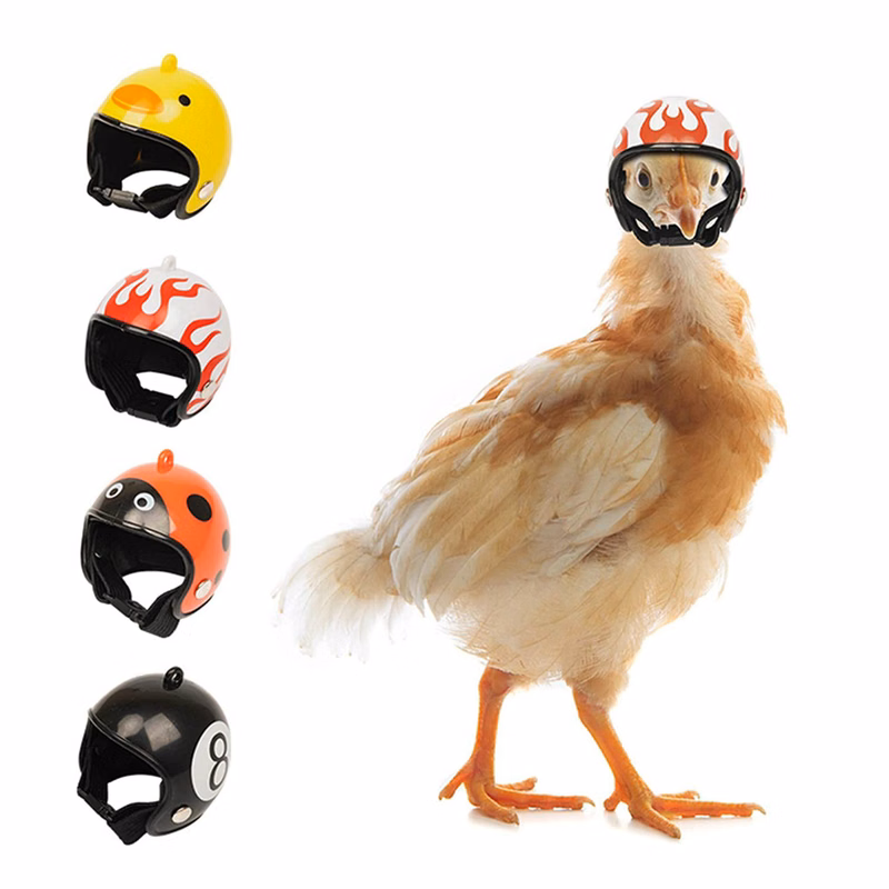 Personalized Poultry Mini Helmet
