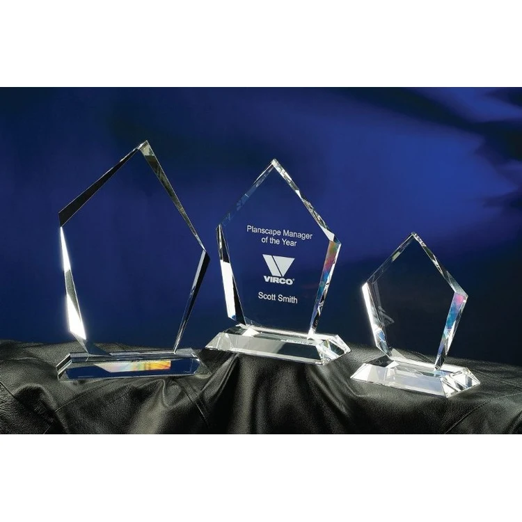 Contemporary Vistas Crystal Summit Award 1