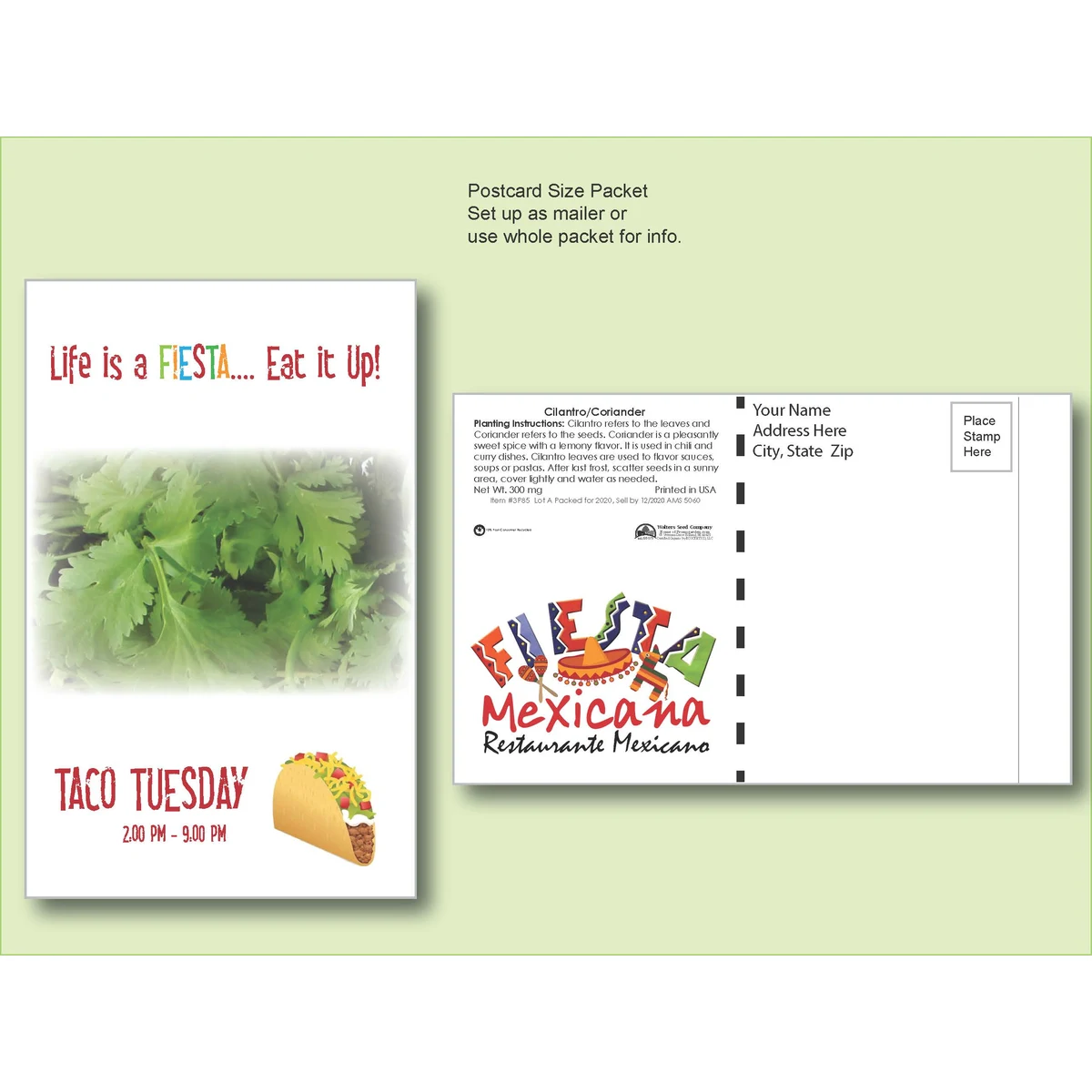 Cilantro/ Coriander Herb Seed Packet - Postcard Mailer Size 4" x 6.5" 1