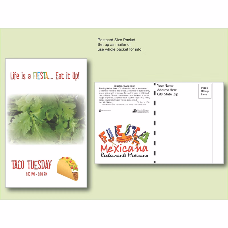 Cilantro/ Coriander Herb Seed Packet - Postcard Mailer Size 4" x 6.5"