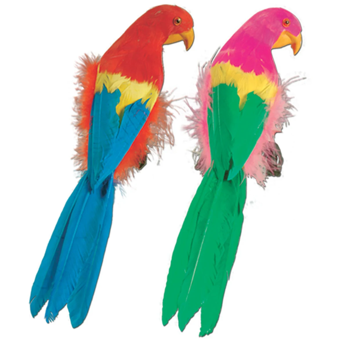Feathered Parrots 1
