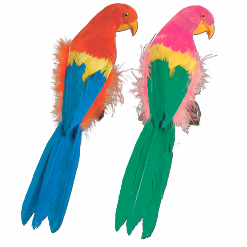 Feathered Parrots
